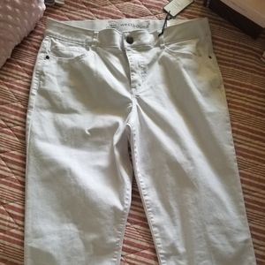 WESTBOUND CAPRI sz16 NWT